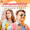 About Kya Kya Karan Mea Tedyian Sefta Song