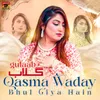 About Qasma Waday Bhul Giya Hain Song