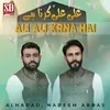 About Ali Ali Karna Hai Song