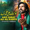 About Aao Saray Ali Ali Kariye Song