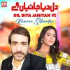 About Dil Diya Janiyan Ve Song