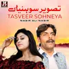 About Tasveer Sohneya Song