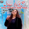 About Ishq Ho Gaya Tere Naal Song