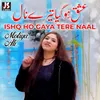 Ishq Ho Gaya Tere Naal