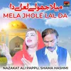 Mela Jhole Lal Da