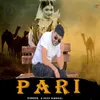 About Pari Song