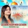 About Deewani Hoon Main Deewani Song