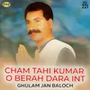 Cham Tahi Kumar O Berah Dara Int