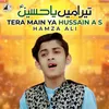 About Tera Main Ya Hussain A S Song