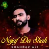 About Najaf Da Shah Song