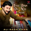 About Tere Bina Dil Nai Lagda Song