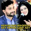 About Mekon Das Waqeela Aey Kehra Law Aey Song