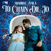 About Tu Chain Dil Jo Song