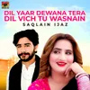 About Dil Yaar Dewana Tera Dil Vich Tu Wasnain Song