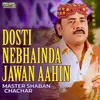 About Dosti Nebhainda Jawan Aahin Song