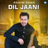 About Dil Jaani Song