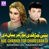 About Nae Charhdi Tor Ghareeban Di Song