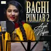 Baghi Punjab 2