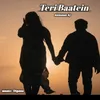 About Teri Baatein Song