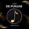 Rang De Punjab