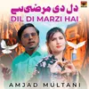 About Dil Di Marzi Hai Song