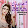 About Tere Alam Ka Hi Ghazi Song