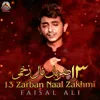 13 Zarban Naal Zakhmi