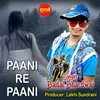 About Paani Re Paani Song