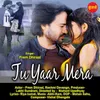 About Tu Yaar Mera Song