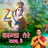 About Kanha Tere Sath Hai Song