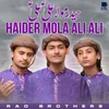 Haider Mola Ali Ali