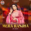 About Mera Ranjha Song