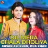 About Dil Mera Chala Dholiya Song