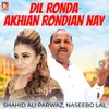 Dil Ronda Akhian Rondian Nay