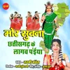 Mor Suwana Chhattisgarh Ke Lagav Paiya