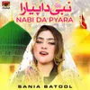 Nabi Da Pyara