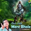 About Bhole Nath Mere Bhole Song