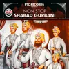 About Non Stop Shabad Gurbani Song