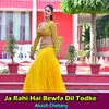 About Ja Rahi Hai Bewfa Dil Todke Song