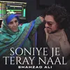 About Soniye Je Teray Naal Song