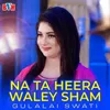 About Na Ta Heera Waley Sham Song