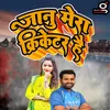 About anu Mera Cricketer Hai Song