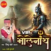 Vip Bholenath