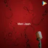 About Meri Jaan Song