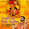 Vrindavan Bulao Krishna