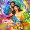 About Holi Mein Saali Pura Gharwali Song