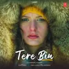 About Tere Bin Song