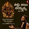 About Saami Saranama Maa Ayyappa Song