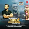 About Bindlu Non Stop Song