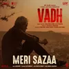 About Meri Sazaa (From "Vadh") Song